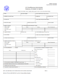 SBA Form 770 - Financial Statement of Debtor Page 1